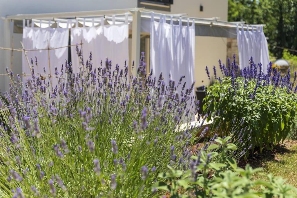 Luxury Villa Cetiri Hrasta Pićan Exteriér fotografie