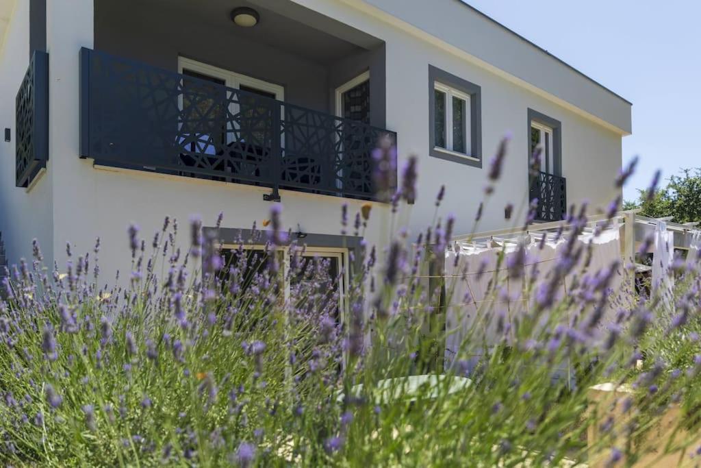 Luxury Villa Cetiri Hrasta Pićan Exteriér fotografie