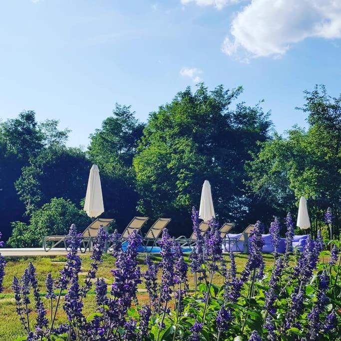 Luxury Villa Cetiri Hrasta Pićan Exteriér fotografie