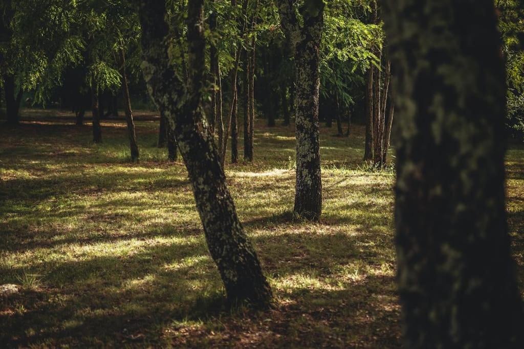 Luxury Villa Cetiri Hrasta Pićan Exteriér fotografie